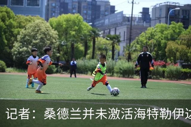 记者：桑德兰并未激活海特勒伊达的2300万欧买断条款，打算压价